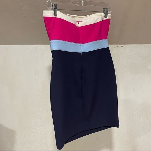 Revolve Likely Marena Tube Mini Strapless Bodycon Dress in Pink Navy Colorblock - Picture 9 of 13
